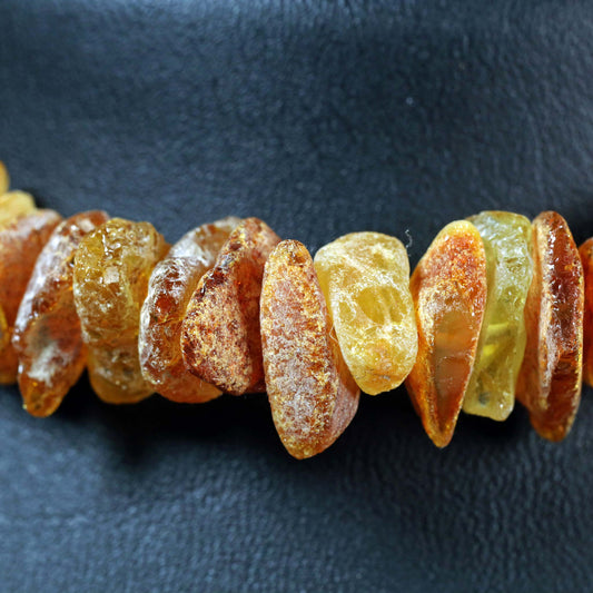 Natürlicher Zeckenschutz für deinen Vierbeiner